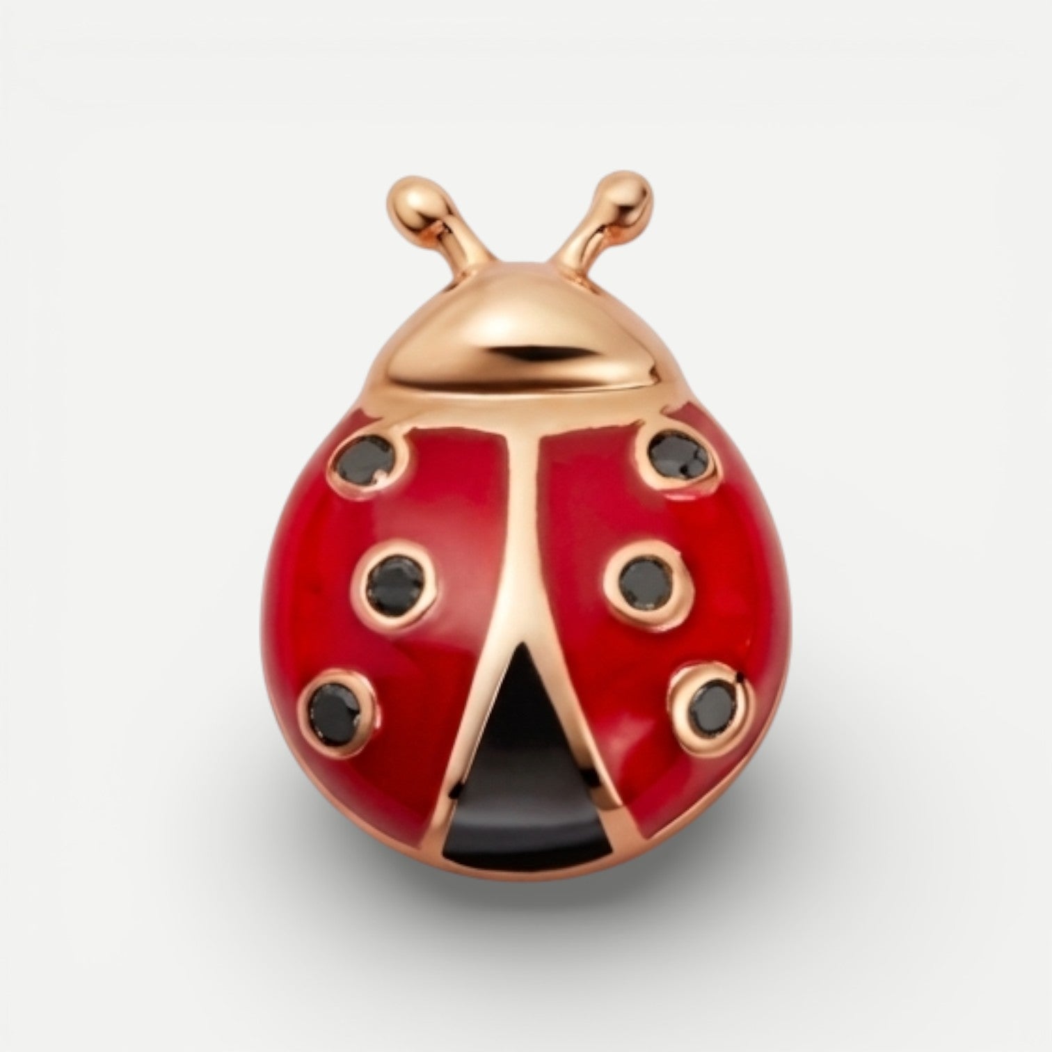 Ladybird